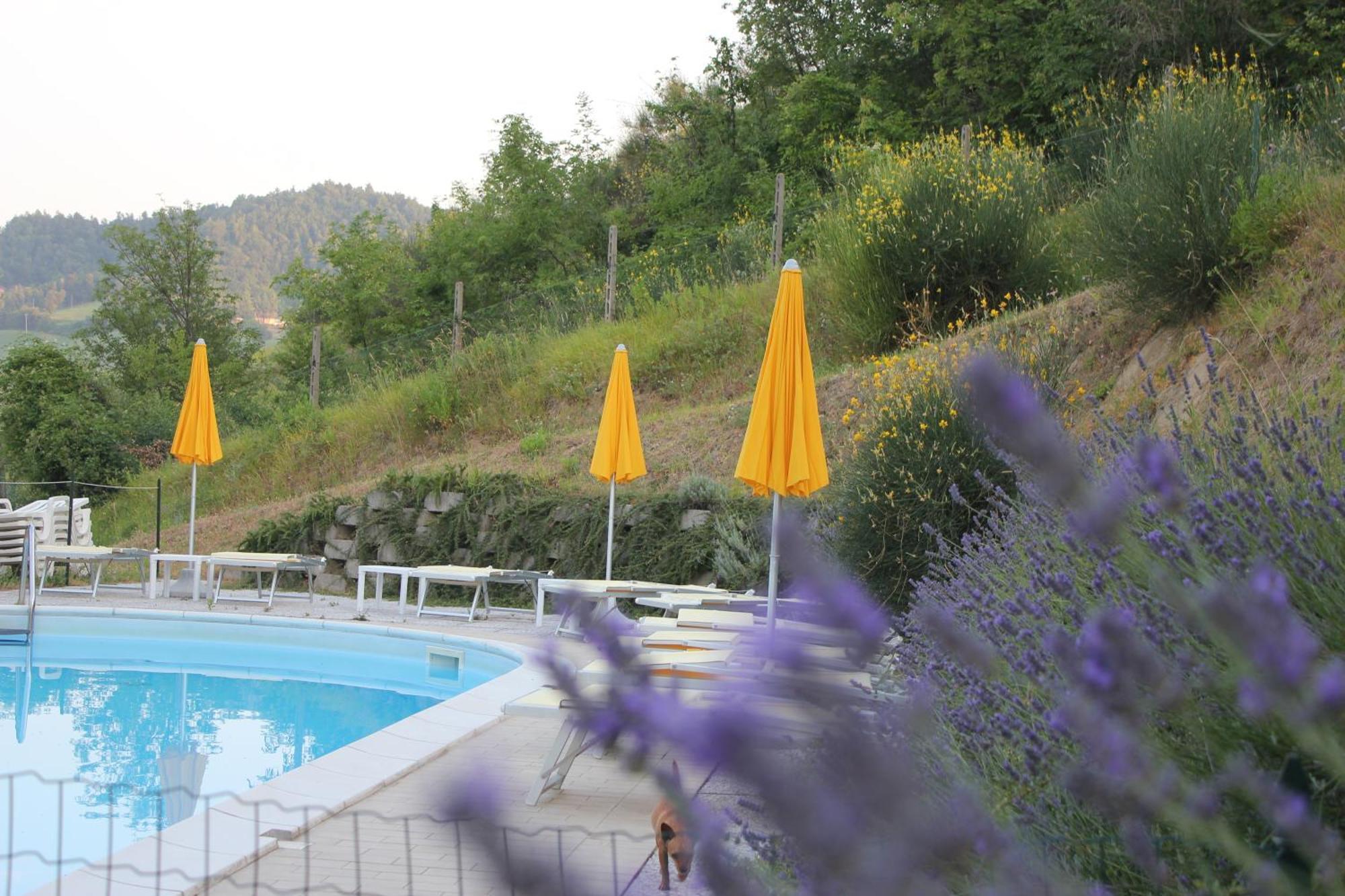 Agriturismo La Valle Del Vento Urbino Exterior foto
